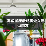 哪些星座最能和处女座做朋友(图2) 哪些星座最能和处女座做朋友(图2)