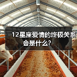 12星座爱情的终极关系会是什么?(图3) 12星座爱情的终极关系会是什么?(图3)