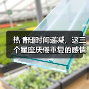 热情随时间递减，这三个星座厌倦重复的感情生活（图2）