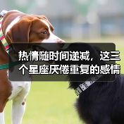 热情随时间递减，这三个星座厌倦重复的感情生活（图3）