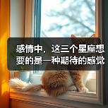 感情中，这三个星座想要的是一种期待的感觉！（图4）