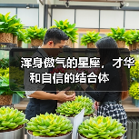 浑身傲气的星座，才华和自信的结合体（图1）