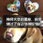 神经大条的星座,容易错过了身边值得珍惜的人(图3) 神经大条的星座,容易错过了身边值得珍惜的人(图3)