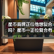 星币首牌正位他想复合吗？星币一正位复合有望吗？（图2）