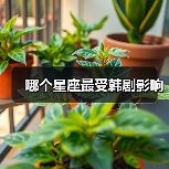 哪个星座最受韩剧影响（图3）