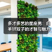 多才多艺的星座男:白羊狮双子的才智与魅力(图3) 多才多艺的星座男:白羊狮双子的才智与魅力(图3)