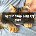 哪些命理特征容易飞来横祸(图4) 哪些命理特征容易飞来横祸(图4)