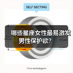 哪些星座女性最易激发男性保护欲？（图3）