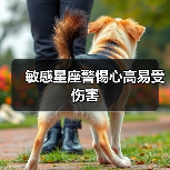敏感星座警惕心高易受伤害（图4）