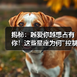 揭秘：越爱你越想占有你！这些星座为何
