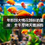 哪些星座越老越有魅力？揭秘