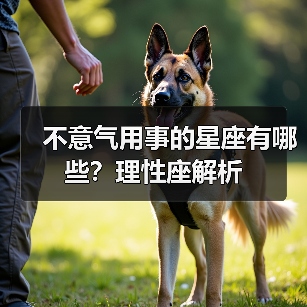不意气用事的星座有哪些？理性座解析（图2）