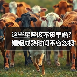 这些星座该不该早婚？婚姻成熟时间不容忽视（图4）