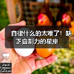 自律什么的太难了!缺乏自制力的星座(图3) 自律什么的太难了!缺乏自制力的星座(图3)