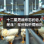 十二星男最难忘的恋人是谁？星座解析情感羁绊（图1）
