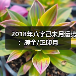 2018年八字己未月运势：庚金/正印月（图1）
