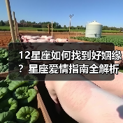 12星座如何找到好姻缘?星座爱情指南全解析,实用建议大公开(图1) 12星座如何找到好姻缘?星座爱情指南全解析,实用建议大公开(图1)