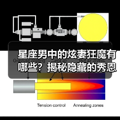 星座男中的炫妻狂魔有哪些？揭秘隐藏的秀恩爱高手（图2）