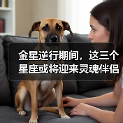 金星逆行期间,这三个星座或将迎来灵魂伴侣机遇(图2) 金星逆行期间,这三个星座或将迎来灵魂伴侣机遇(图2)