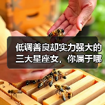 低调善良却实力强大的三大星座女,你属于哪一个?(图4) 低调善良却实力强大的三大星座女,你属于哪一个?(图4)
