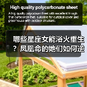 哪些星座女能浴火重生?凤凰命的她们如何逆风翻盘?(图4) 哪些星座女能浴火重生?凤凰命的她们如何逆风翻盘?(图4)