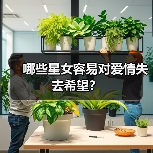 哪些星女容易对爱情失去希望?(图1) 哪些星女容易对爱情失去希望?(图1)