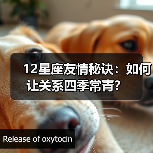 12星座友情秘诀:如何让关系四季常青?(图4) 12星座友情秘诀:如何让关系四季常青?(图4)