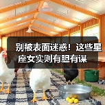 别被表面迷惑!这些星座女实则有胆有谋(图1) 别被表面迷惑!这些星座女实则有胆有谋(图1)
