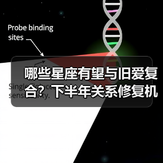 哪些星座有望与旧爱复合？下半年关系修复机会解析（图1）