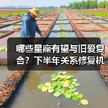 哪些星座有望与旧爱复合？下半年关系修复机会解析（图3）
