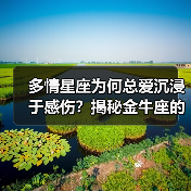 多情星座为何总爱沉浸于感伤？揭秘金牛座的烦恼根源（图2）