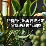 所有的付出需要被肯定，渴望被认可的星座（图4）