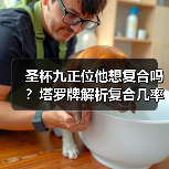 圣杯九正位他想复合吗？塔罗牌解析复合几率（图3）