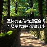 圣杯九正位他想复合吗？塔罗牌解析复合几率（图4）