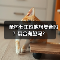 圣杯七正位他想复合吗？复合有望吗？（图1）