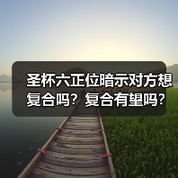 圣杯六正位暗示对方想复合吗？复合有望吗？（图4）