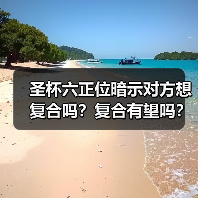 圣杯六正位暗示对方想复合吗？复合有望吗？（图1）