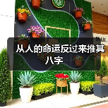 从人的命运反过来推其八字（图3）
