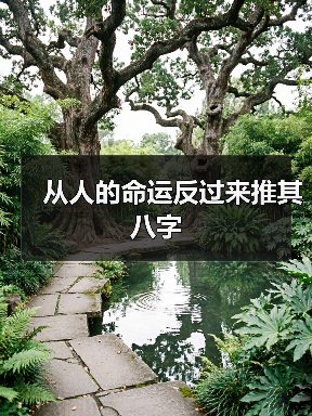 从人的命运反过来推其八字（图4）