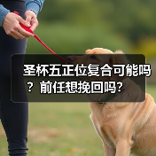 圣杯五正位复合可能吗?前任想挽回吗?(图4) 圣杯五正位复合可能吗?前任想挽回吗?(图4)