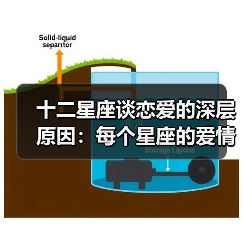 十二星座谈恋爱的深层原因：每个星座的爱情需求全解析（图4）