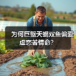 为何巨蟹天蝎双鱼偏爱虐恋苦情命？（图2）