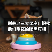 别惹这三大星座！揭秘他们隐藏的腹黑真相（图2）