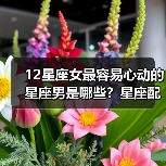 12星座女最容易心动的星座男是哪些？星座配对真相揭秘（图1）