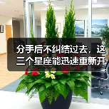 分手后不纠结过去，这三个星座能迅速重新开始！（图3）