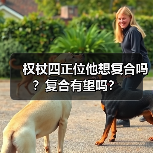 权杖四正位他想复合吗?复合有望吗?(图1) 权杖四正位他想复合吗?复合有望吗?(图1)
