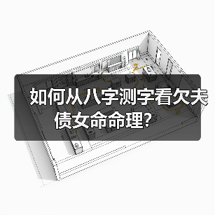 如何从八字测字看欠夫债女命命理?(图3) 如何从八字测字看欠夫债女命命理?(图3)