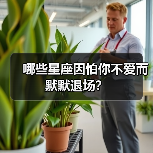 哪些星座因怕你不爱而默默退场?(图4) 哪些星座因怕你不爱而默默退场?(图4)