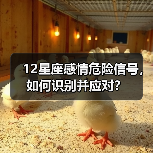 12星座感情危险信号,如何识别并应对?(图3) 12星座感情危险信号,如何识别并应对?(图3)