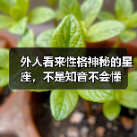 外人看来性格神秘的星座,不是知音不会懂(图2) 外人看来性格神秘的星座,不是知音不会懂(图2)